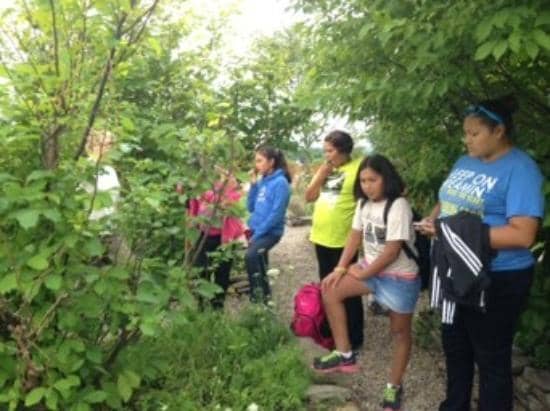 Interpretive Nature Trails