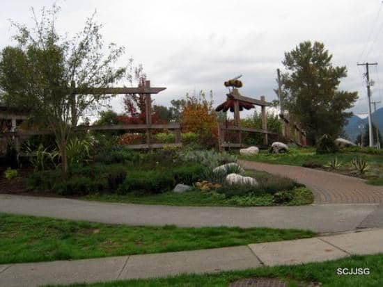 Unique Plant Collections