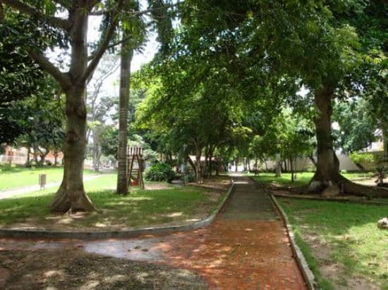Evening Street Food Delights
