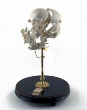 Scientific Specimens