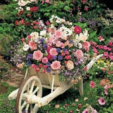 Intricate Islamic Artistry