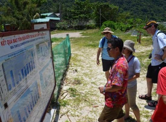 Forest Hiking Trails