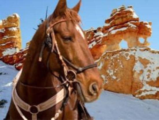 Losee Canyon Scenic Ride