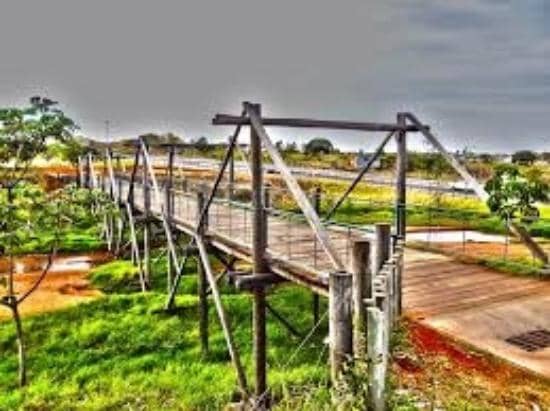 Walking and Jogging Trails