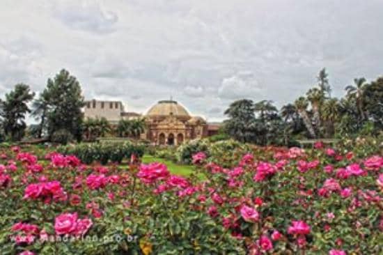 Exposition Park Rose Garden