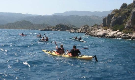 Birdwatching Opportunities