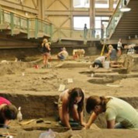 Archaeological Dig Site