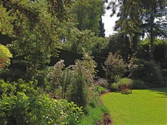 Woodland Paths