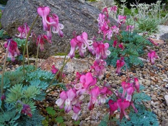 Panoramic Mountain Views