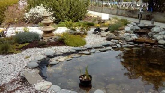 Educational Arboretum