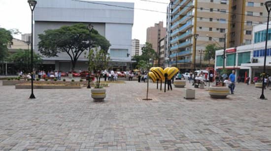 Shopping Extravaganza