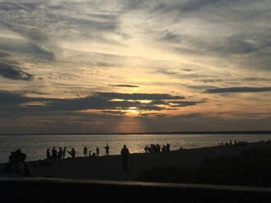 Cedar Island Trail