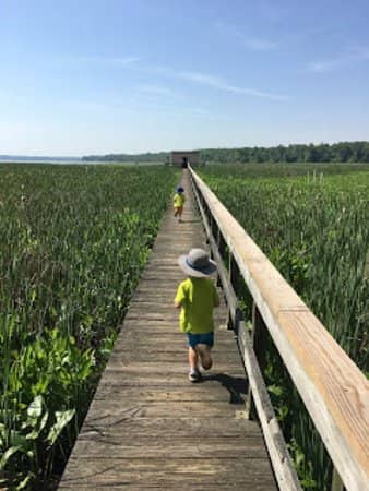 Railroad Trail