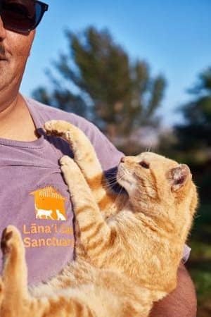 Conservation Efforts