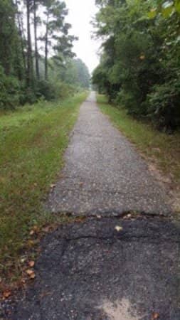 Spring Creek Trails