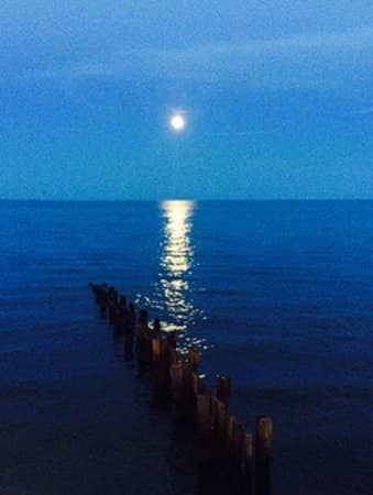 Fort De Soto's Natural Beauty