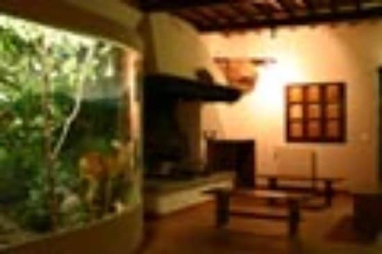 Sasseto Forest Stroll