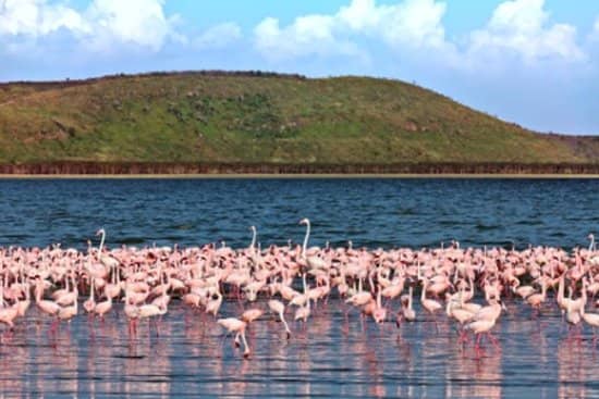 Third hero image