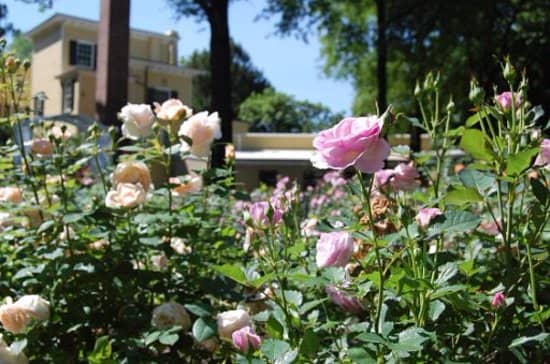 Historic Gardens