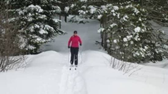 Bonnie's Pond Trail