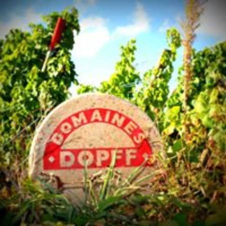 Crémant d'Alsace Tasting