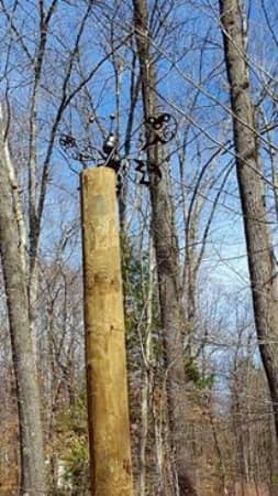 Vertical photo