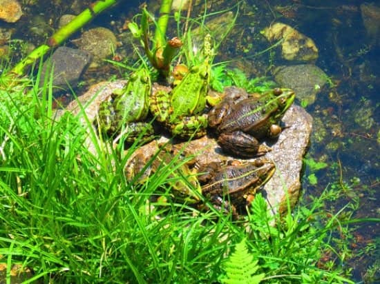 Villa Emden & Restaurant