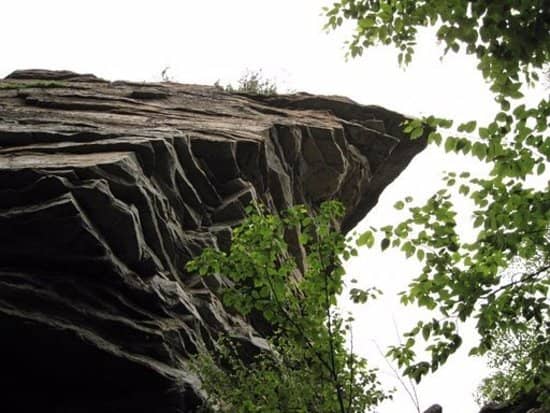 Vertical photo