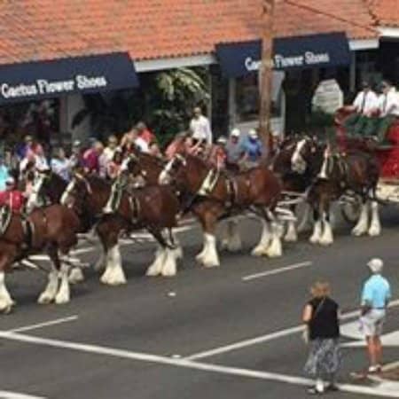 The Gardens on El Paseo