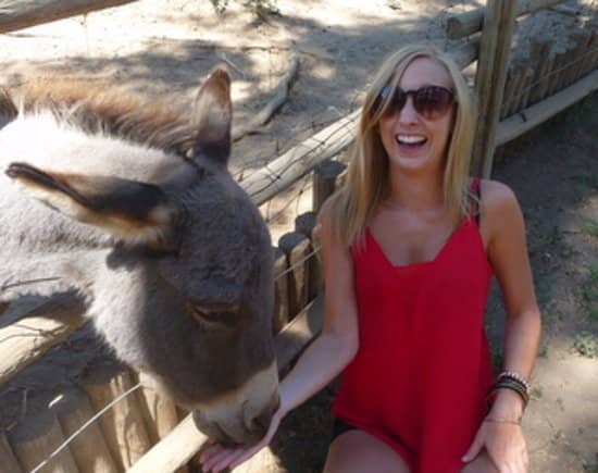 Animal Encounters