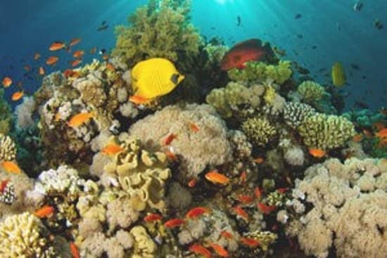 Panoramic Viewpoints