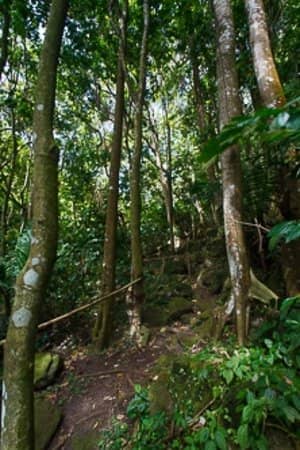 Outdoor Shower Experience