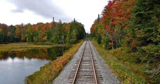 Open-Air Car Thrills