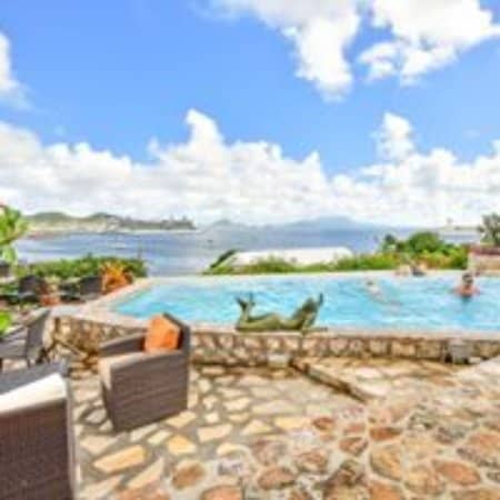 Vibrant Tropical Gardens