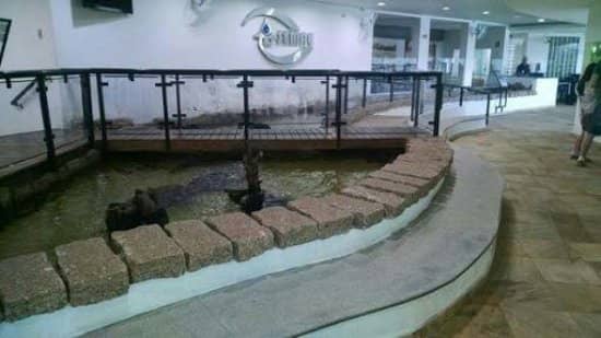 Interactive Learning