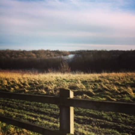 Historical Transformation