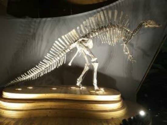 Early FloridaLand History