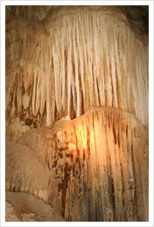 Encounter Cave Wildlife