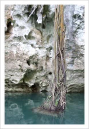 Stunning Limestone Formations