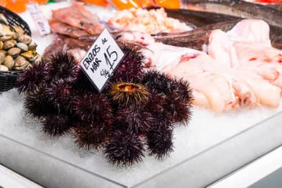 Specialty Food Shops