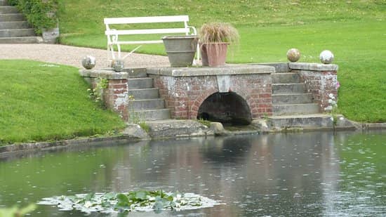 The Tearoom Experience