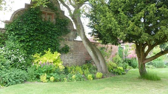 Walled Garden & Delphiniums