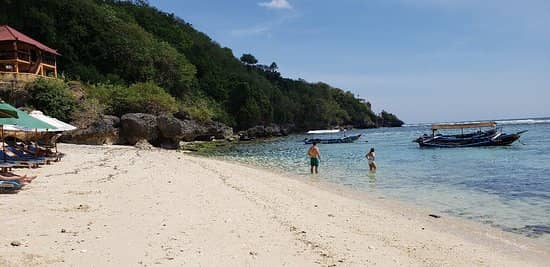 Secluded Sandy Shores