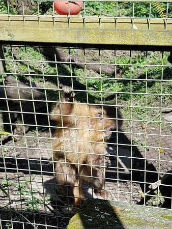 Passionate Caretaker Tours