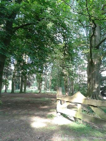 Scenic Walking Trails