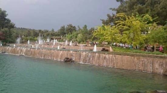 Picnic and BBQ Areas