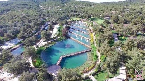 Biological Pond and Restaurant