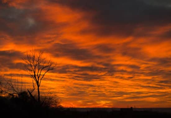 Luxurious Vineyard Villas