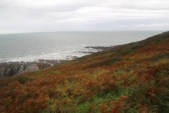 Cliff Path Scenery