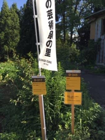 For Lots of Lost Windows